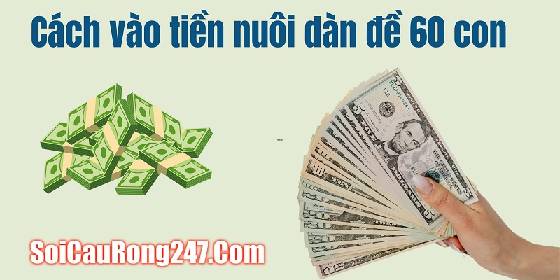 Cách vào tiền nuôi dàn đề 60 con