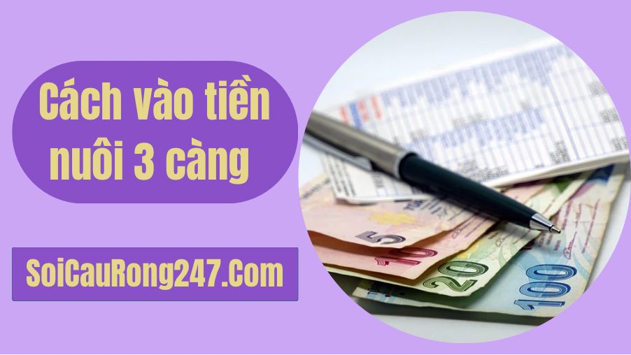 Hướng dẫn vào tiền nuôi 3 càng khung 7 ngày