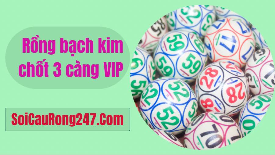 Rồng bạch kim soi cầu 3 càng Miền Bắc