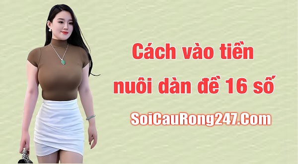 Cách vào tiền nuôi dàn đề 16 con luôn lãi