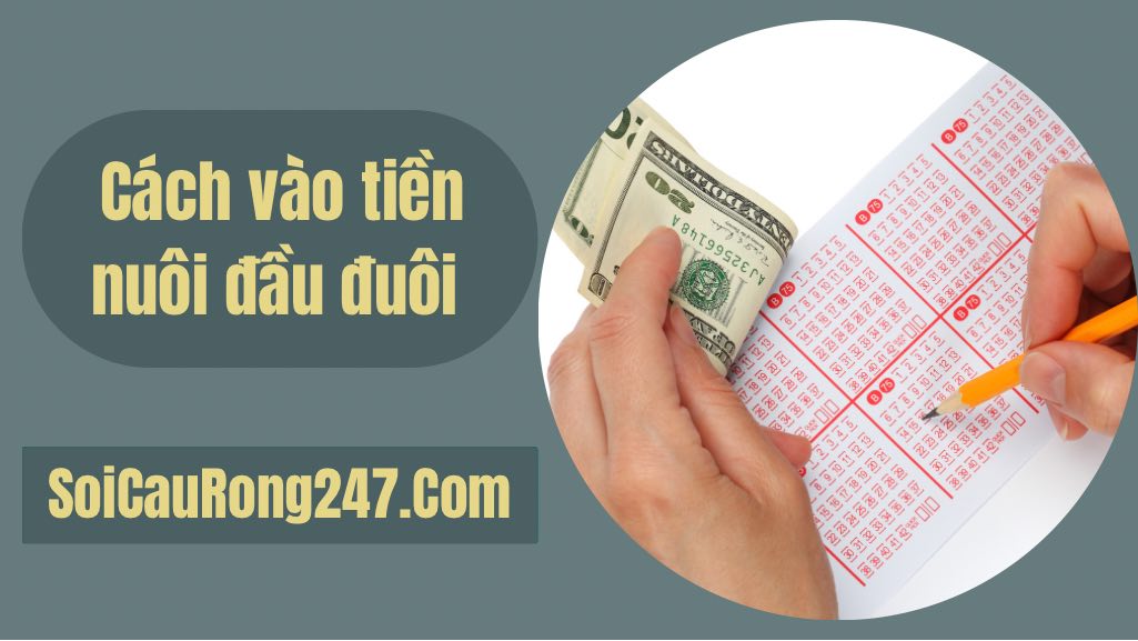 Cách vào tiền nuôi đầu đuôi chính xác