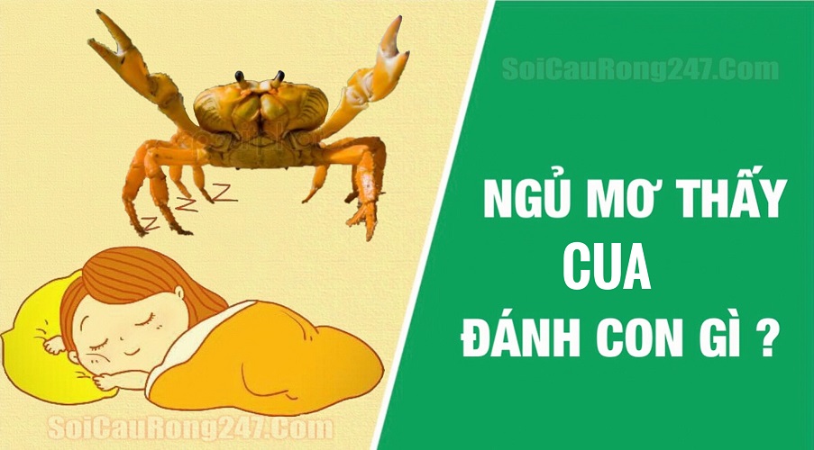 Mơ thấy cua đánh con gì