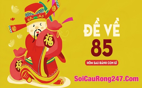 Đề về 85 hôm sau đánh lô gì