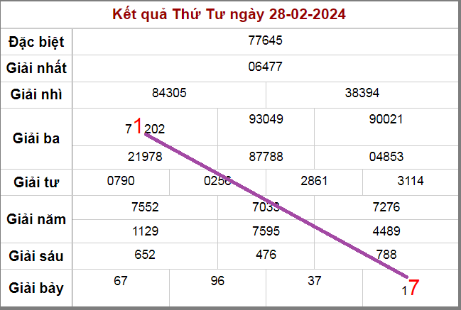 Cầu rồng bạch kim ngày 29-2-2024