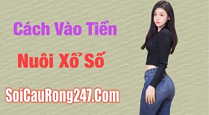 Cách vào tiền nuôi xổ số