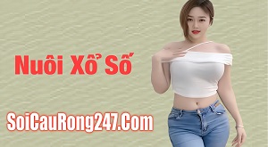 Nuôi xổ số