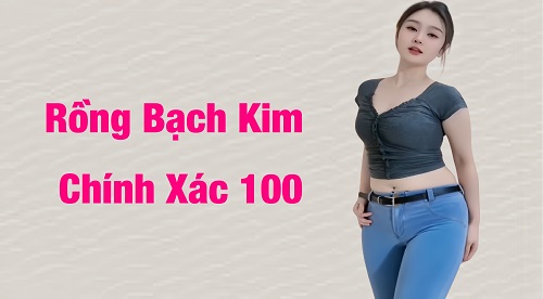 Rồng bạch kim chính xác 100