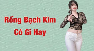 Rồng bạch kim có gì hay